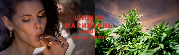 гидропоника Алзамай