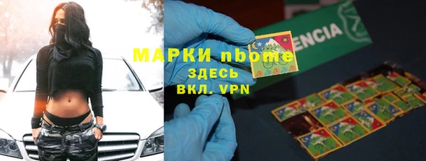 гидропоника Алзамай