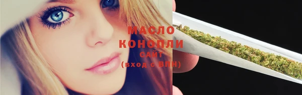 Альфа ПВП Аша