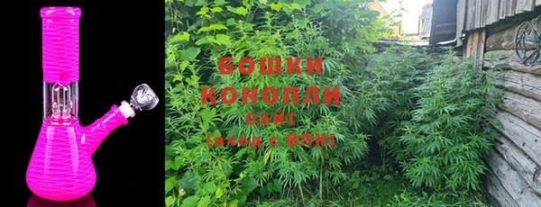 гидропоника Алзамай