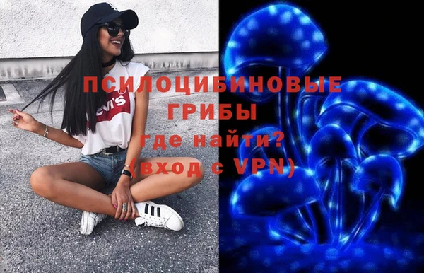 мяу мяу мука Алексеевка